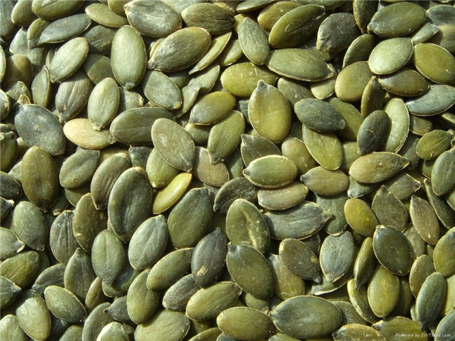 Snow white pumpkin seed kernel