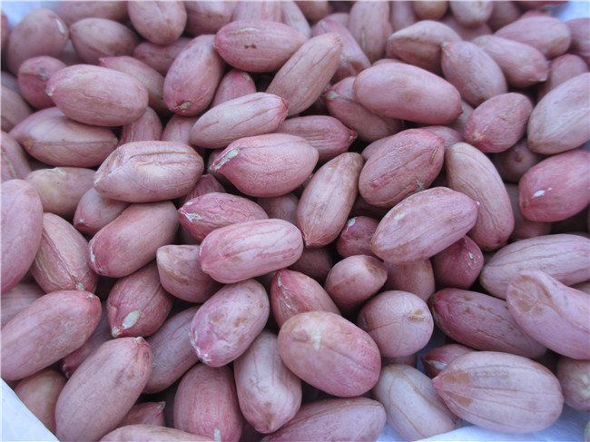 Raw peanut kernel