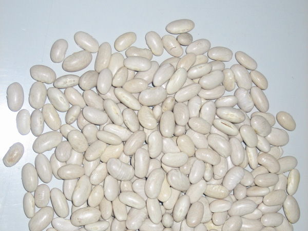 White Spanish kidney beans