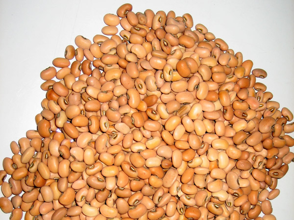 PINK COWPEA