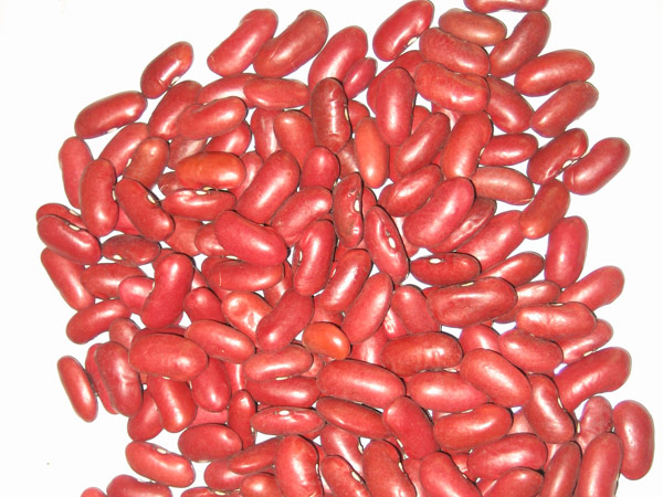 ENGLANDRED KIDNEY BEAN