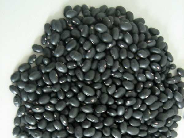 BLACK KIDNEY BEANS